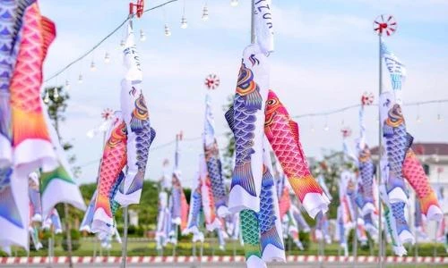 Giới trẻ SG đón lễ tình nhân sớm ở “cánh đồng cá Koi“