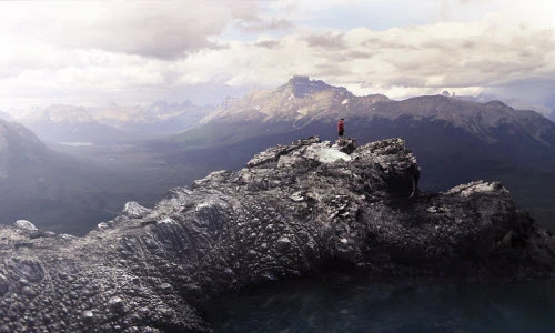 Ấn tượng ảnh siêu thực đậm chất viễn tưởng của động vật