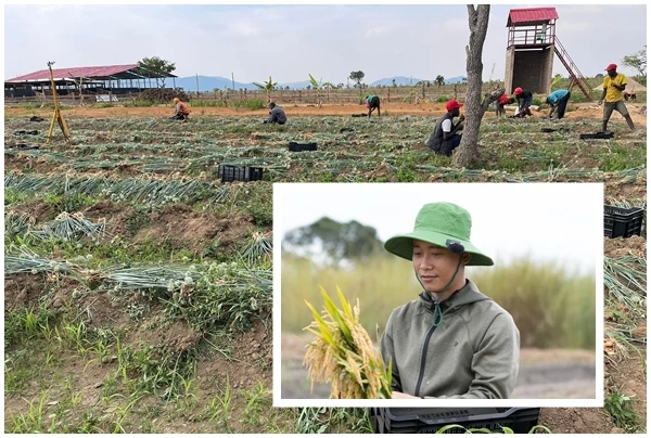 Bên trong trang trại 14ha của Quang Linh Vlogs ở Châu Phi
