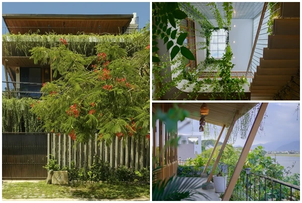 Nhà 3 tầng ven sông đẹp đến nao lòng ở Nha Trang 