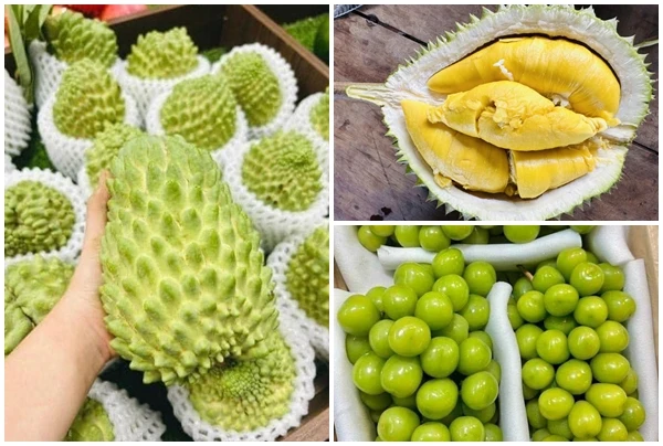 3 loại quả đắt đỏ bất ngờ thành hàng bình dân bán đầy chợ 