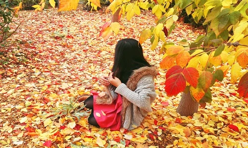 A đây rồi: Du học sinh Việt ở Australia khoe khoảnh khắc "mùa tiên"