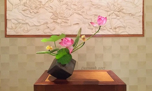 Xem “soái ca” Việt cắm sen trang trí nhà siêu đẹp