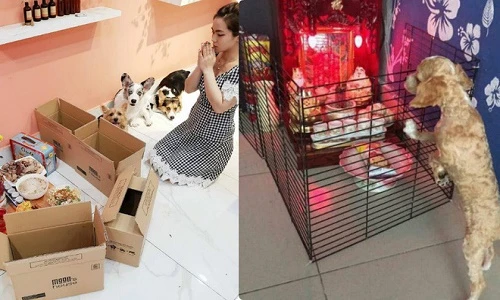 Giới trẻ Việt khoe cầu thang cầu vồng cực độc đáo