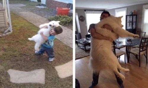 Sau “con sen”, các “boss” cũng khoe ảnh “ngày ấy, bây giờ“