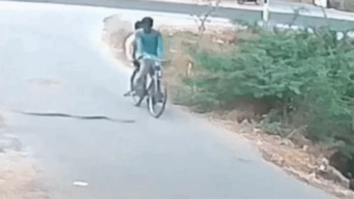 Video: Rắn hổ mang cuốn vào bánh xe đạp