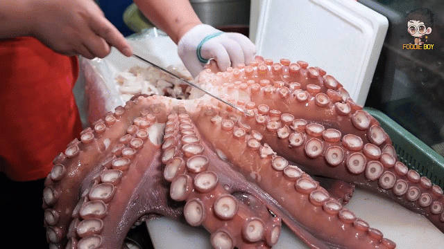 Video: “Lác mắt” xem đầu bếp chế biến bạch tuộc khổng lồ