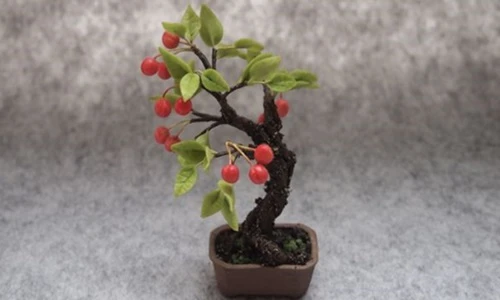 Mê tít những chậu bonsai cherry đẹp hút mắt