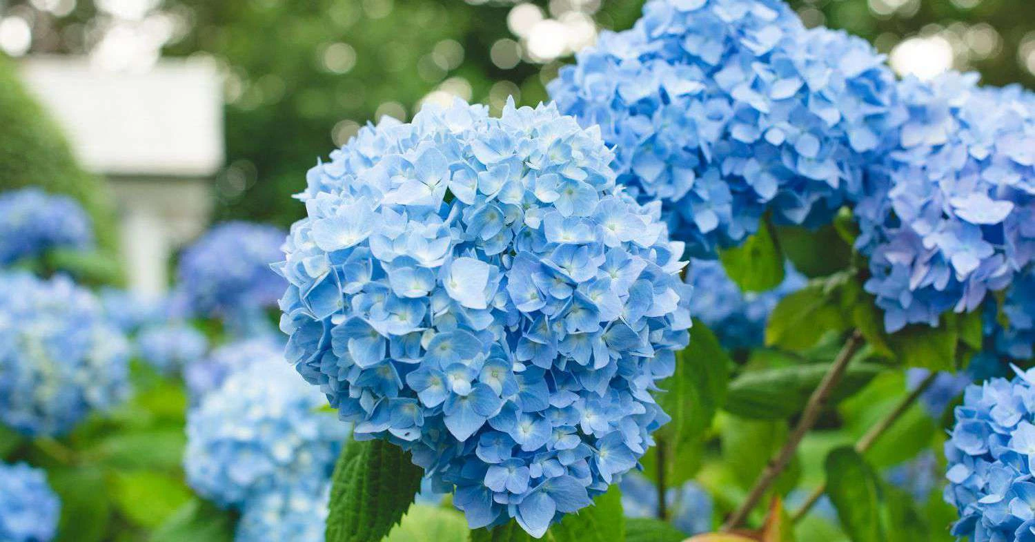 Từ giờ tới cuối 2022: 3 con giáp Thần Tài ghé thăm, cuộc sống khởi sắc