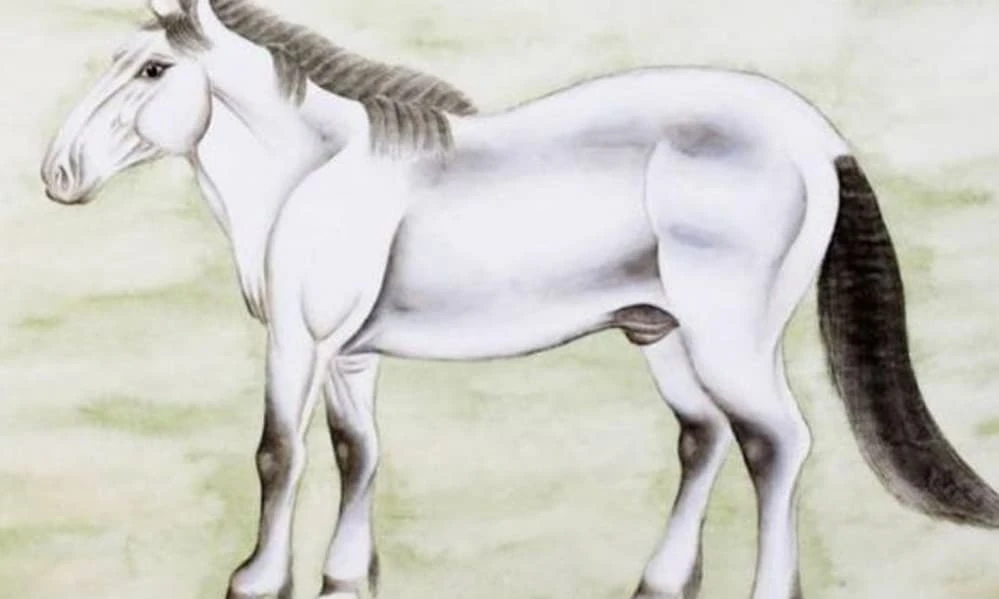 Từ 12/9 - 30/9, ba con giáp tay trái hứng vàng, tay phải hốt bạc