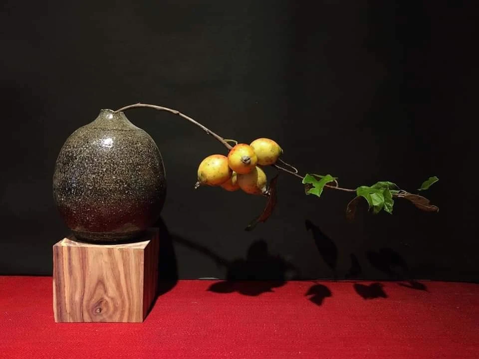 Chán ngâm rượu, chị em lùng mua cành táo mèo về cắm bình