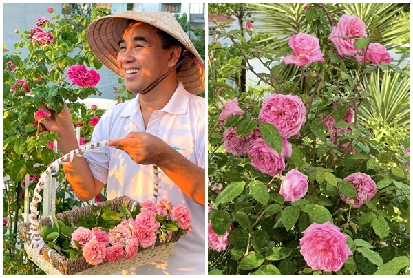 Vườn hồng nhiều người “mơ cả đời” của vợ chồng MC Quyền Linh 