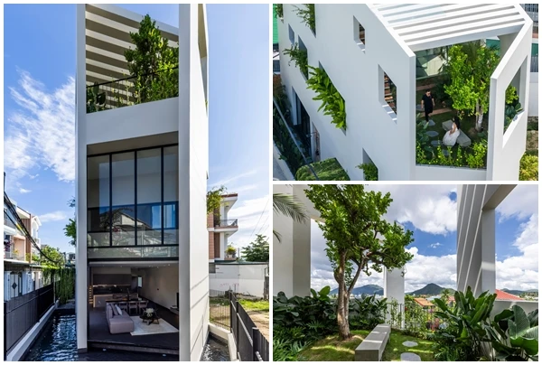 Khám phá ngôi nhà với khu vườn trên cao độc đáo ở Nha Trang 