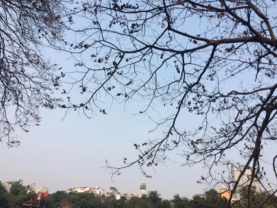 Ngắm loạt ảnh đầu hè tuyệt đẹp chụp bằng smartphone