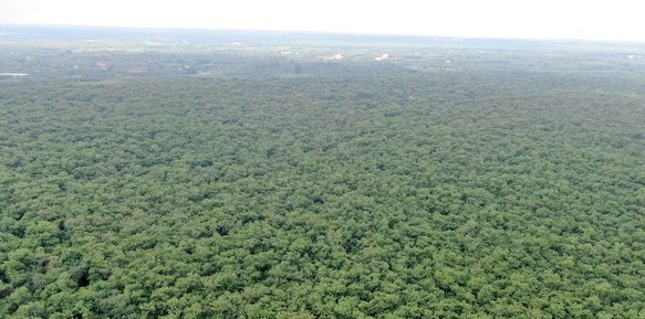 Cận cảnh khu đất hơn 1,8 nghìn ha đang thu hồi làm sân bay Long Thành