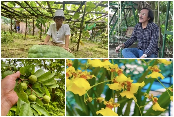 Nhà vườn 10.000m2 của cố nghệ sĩ Giang Còi hiện ra sao?