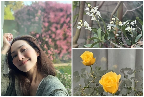 Khu vườn rực sắc xuân như tranh vẽ của Kim Hiền ở Mỹ