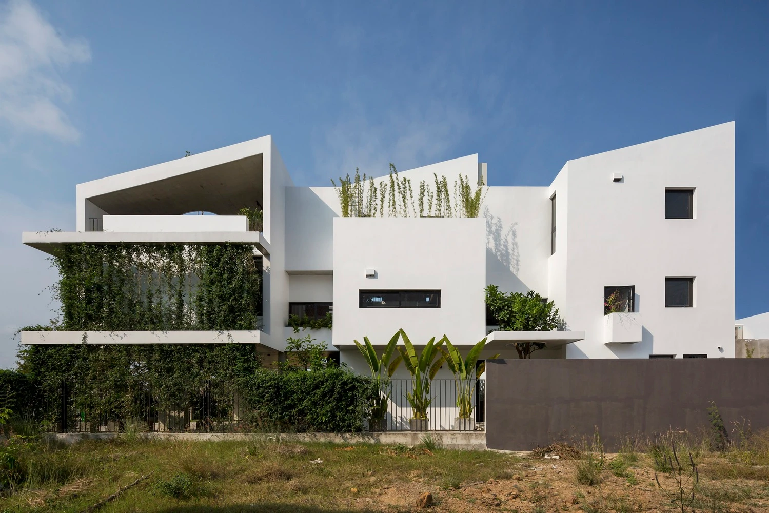 Sử dụng “rèm cây xanh”, nhà hướng Tây mát rượi như điều hòa