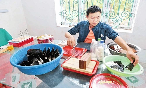 Trai đẹp 9X “vớt” ngọc trai từ suối Nứa