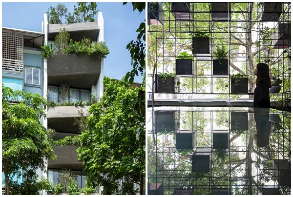 Hai ngôi nhà Hà Nội chật hẹp nhưng đẹp ấn tượng nhờ “vườn treo“