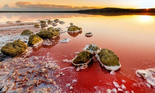 Hồ muối bí ẩn đỏ rực như trên sao Hỏa