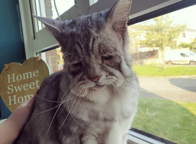 Ảnh độc lạ cho bạn góc nhìn hoàn toàn khác về thế giới