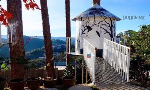 Dân mạng thích thú với homestay tổ chim ở Đà Lạt