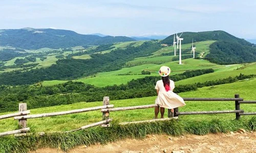 Thăm trại cừu đẹp như mơ nơi Xuân Trường lộ người tình giấu mặt