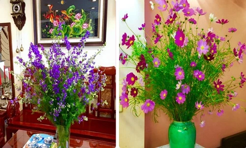 Chọn hoa đẹp nào trang trí phòng khách ngày Tết?