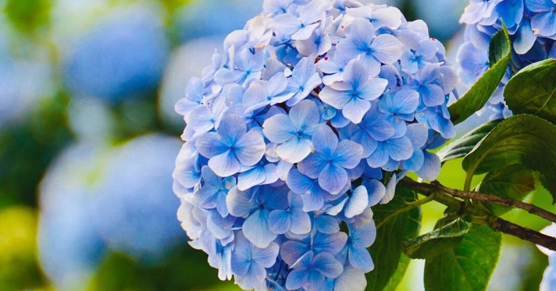 Tháng 12 Âm lịch, 3 con giáp được lộc Thần Tài, hốt vàng