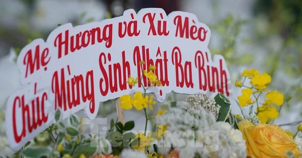 Xót xa vòng hoa mừng sinh nhật bên linh cữu Phó Chủ tịch Thường trực Lê Hoà Bình