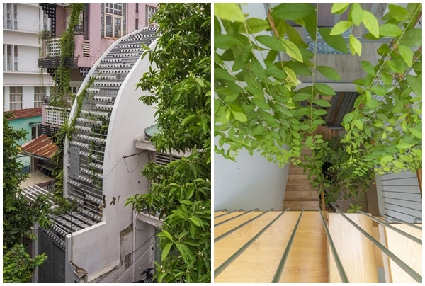 Báo Mỹ ca tụng ngôi nhà như “ốc đảo” xanh giữa Sài Gòn