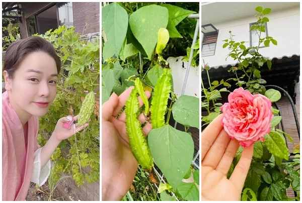 “Ngó” vườn rau tốt um trong biệt thự của Nhật Kim Anh