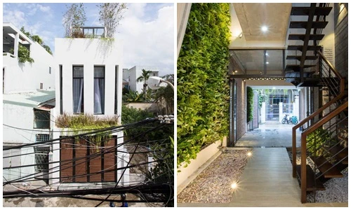 Nhà phố thiết kế 2 cầu thang kỳ dị ở Đà Nẵng