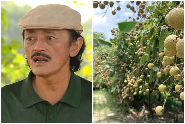 Nhà vườn rộng thênh thang ngập tràn hoa trái của nghệ sĩ Giang Còi