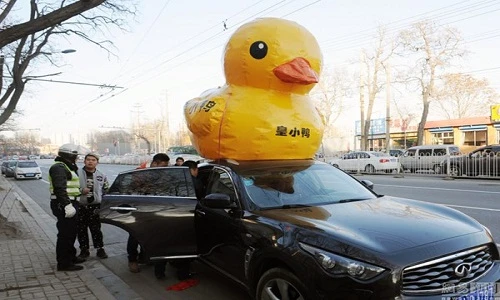 Đại gia chạy siêu xe chở vịt đi dạo bị cảnh sát chặn đường