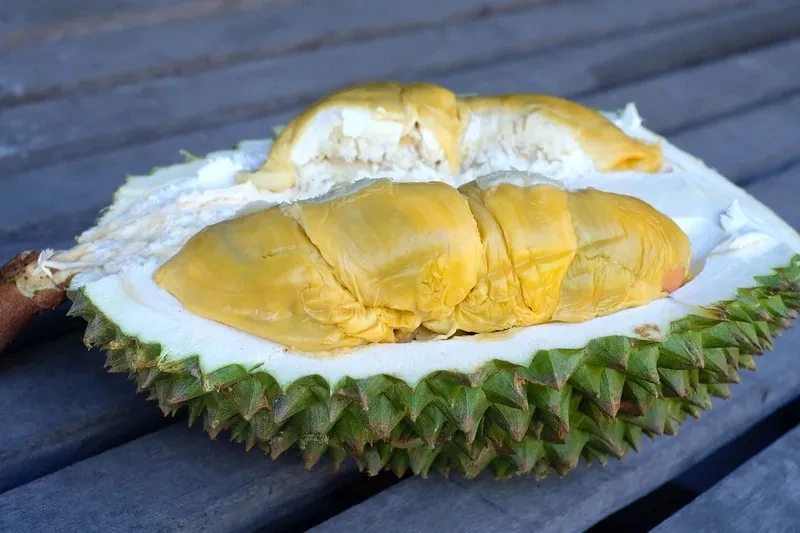 Giống sầu riêng mới đang tạo cơn sốt toàn châu Á đắt cỡ nào?