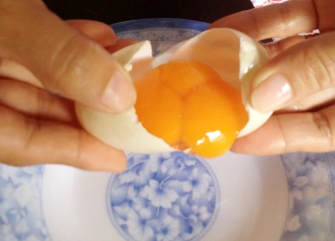 Xem trứng vịt có 3 lòng đỏ hiếm gặp ở Sóc Trăng