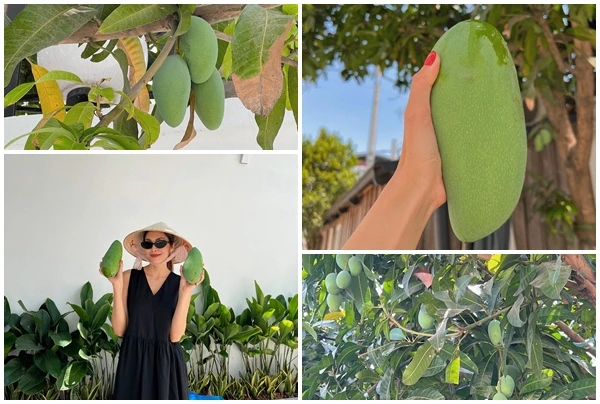 Hé lộ điều đặc biệt trong tổ ấm triệu đô của Tăng Thanh Hà