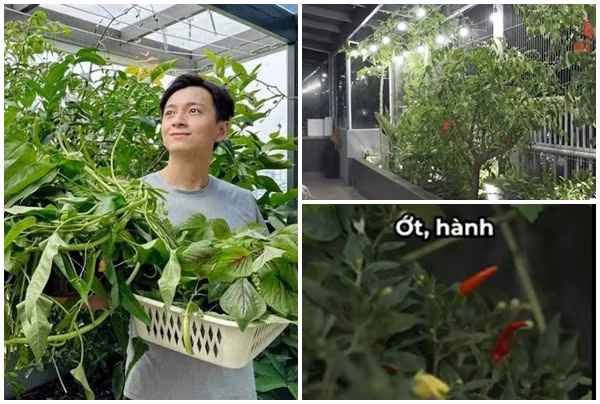 Penthouse hơn 20 tỷ có sân vườn xanh mướt của Ngô Kiến Huy