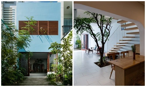 Nhà phố Vũng Tàu ngột ngạt đẹp ngỡ ngàng sau cải tạo