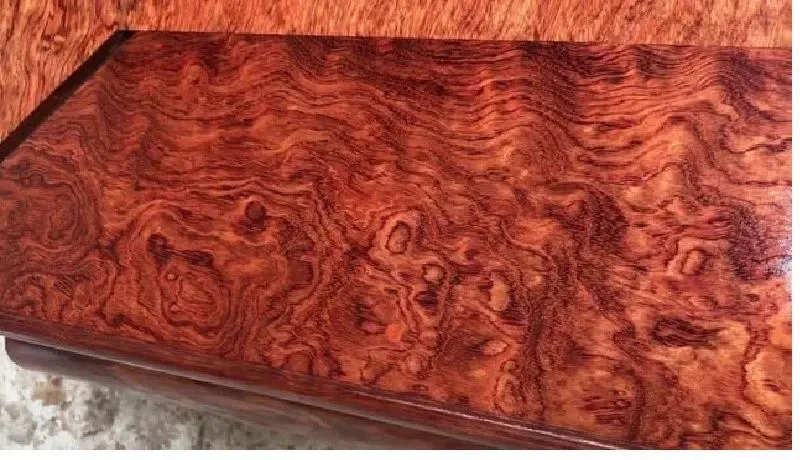 Tận thấy loại gỗ quý như “vàng ròng”, nửa tỷ đồng/m3 