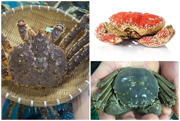 3 loại cua “đắt xắt ra miếng” được đại gia Việt săn lùng