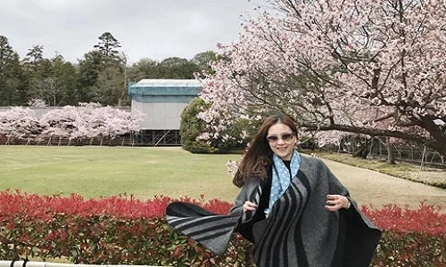 Tháng 4, dân mạng khoe ảnh hoa anh đào trên khắp thế giới