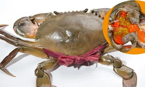 Cận cảnh cua gạch son giá gần triệu đồng/kg hút nhà giàu Việt