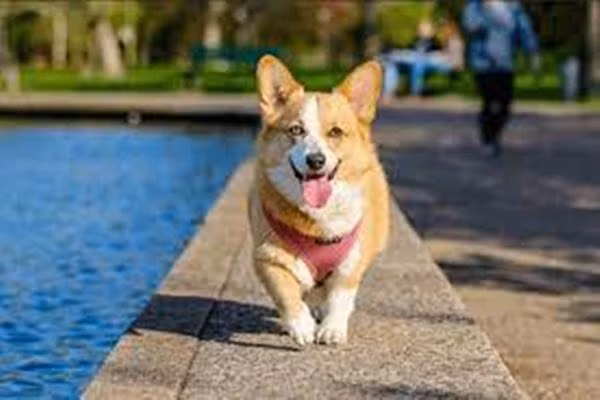 3 dấu hiệu ngôi nhà phát tài viên mãn, 2 điềm báo hung hạn