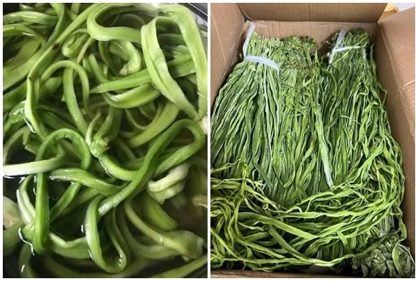 Loại rau “khô như rơm” nửa triệu đồng/kg vẫn đăt hàng 