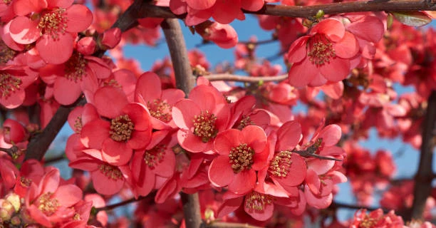 Trời sinh 5 con giáp tài giỏi và có EQ đỉnh cao, làm việc gì cũng thành công