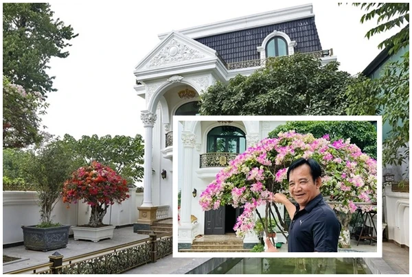 Cận cảnh nhà vườn 1.000m2 như “lâu đài” của nghệ sĩ Quang Tèo 