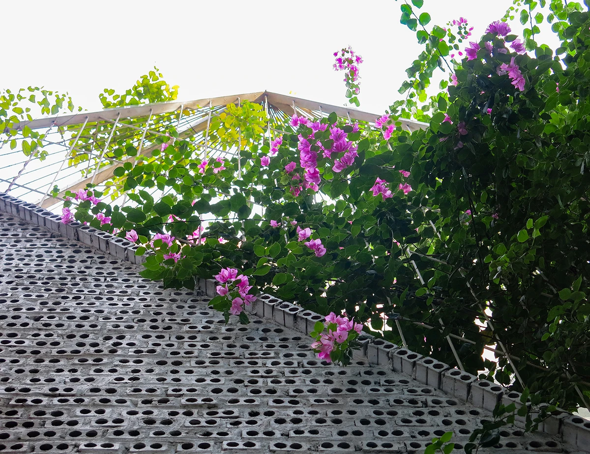 “Đục lỗ chi chít” bên ngoài, nhà phố chắn nắng hiệu quả bất ngờ